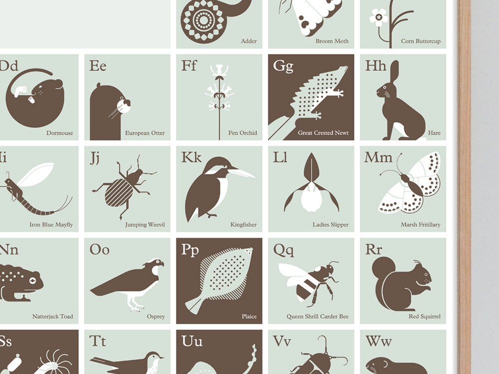 Alphabet of Endangered Species in the British Isles