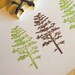 Evergreen Tree Rubber Stamp