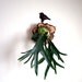 Mounted Antlers, Staghorn Fern Mounted on Natural Cypress, Fresh Home Decor