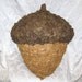 MADE TO ORDER - Acorn Pinata - Traditional