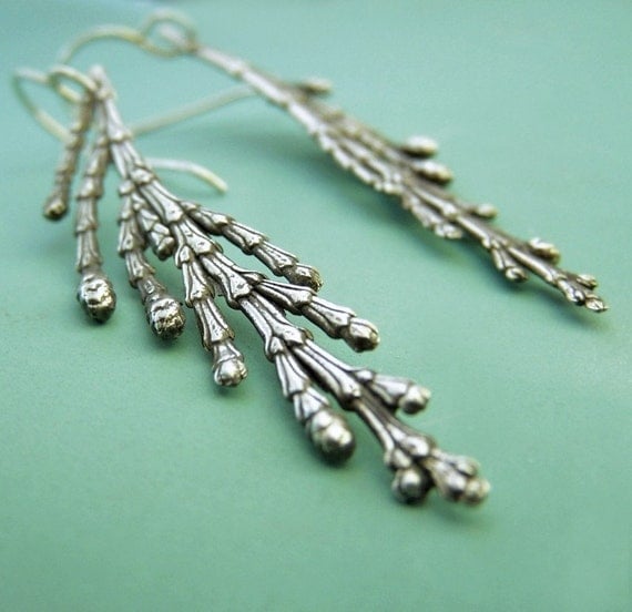Cedar Branch Earrings - Sterling Silver