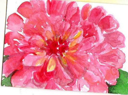 Pink  Zinnia Painting ACEO Original