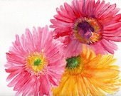 Original Watercolor Painting  of Colorful Gerbera Daisies
