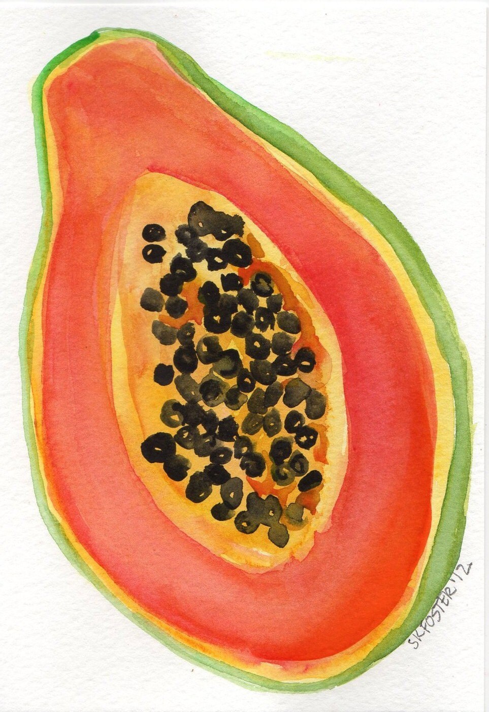 Papaya painting Original Watercolor Painting by SharonFosterArt