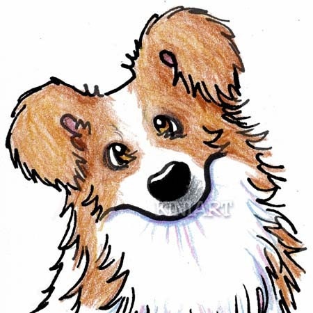 ACEO Original Art BORDER COLLIE Dog Funny Sheep Slippers