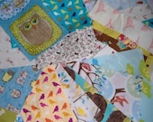 Scrap Bundle, Bird and Owl Themed Fabric Grab Bag Pack.  A Beautiful Selection of Bird Prints.