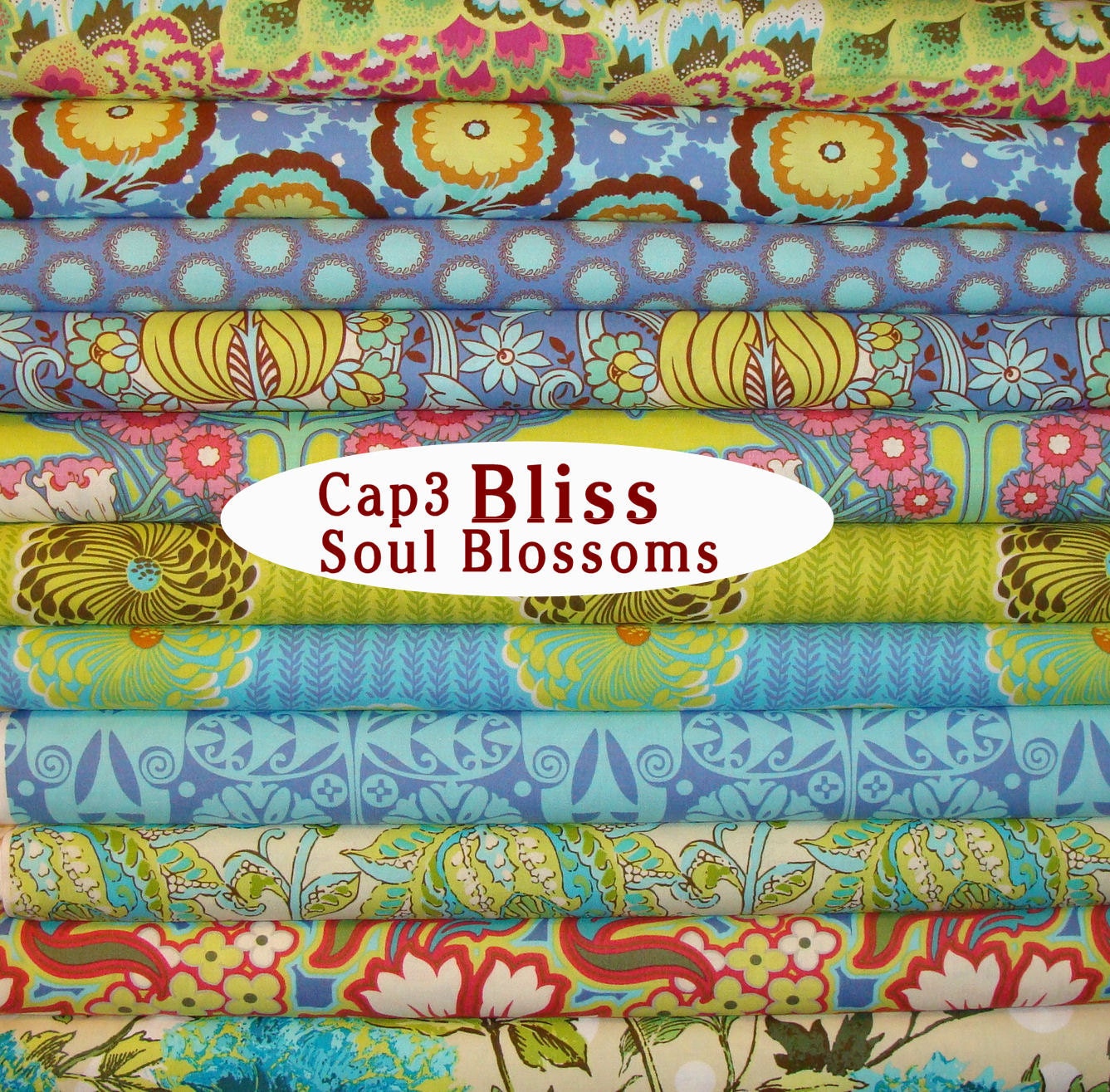 Cap 3 BLISS / Amy Butler Fabric / Soul Blossoms / 11 Half Yard Bundle - Cotton Quilt Fabric