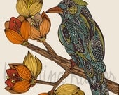 Bravebird print