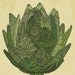 Artichoke - Eat your veggies digital print