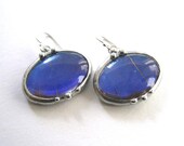 Oval Blue Morpho Butterfly Earrings