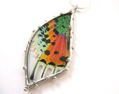 Madagascan Sunset Moth Necklace