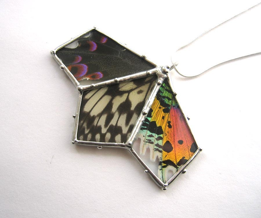 Specimen Necklace - Real Butterfly Fan