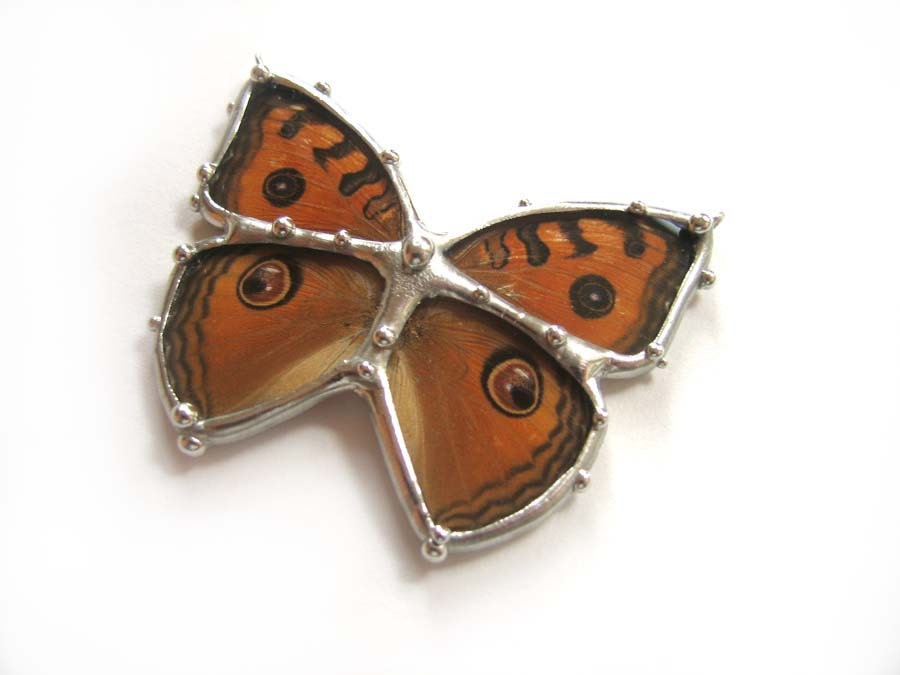 Buckeye Butterfly Necklace - Real Butterfly Wings