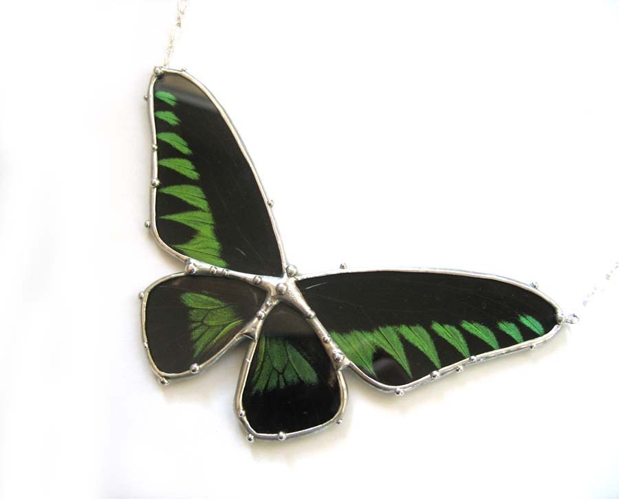 Birdwing Butterfly Necklace