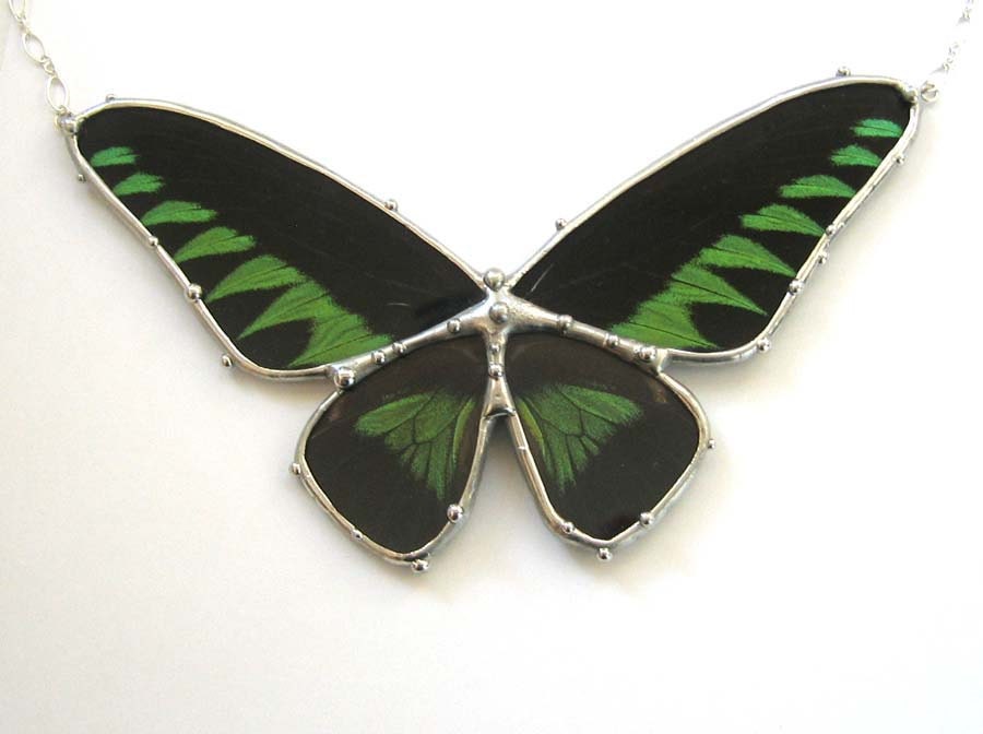 Birdwing Butterfly Necklace