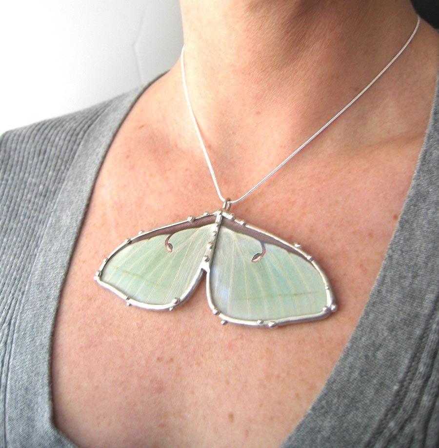 Real Luna Moth Necklace - Statement Necklace