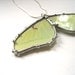 Real Luna Moth Necklace - Statement Necklace