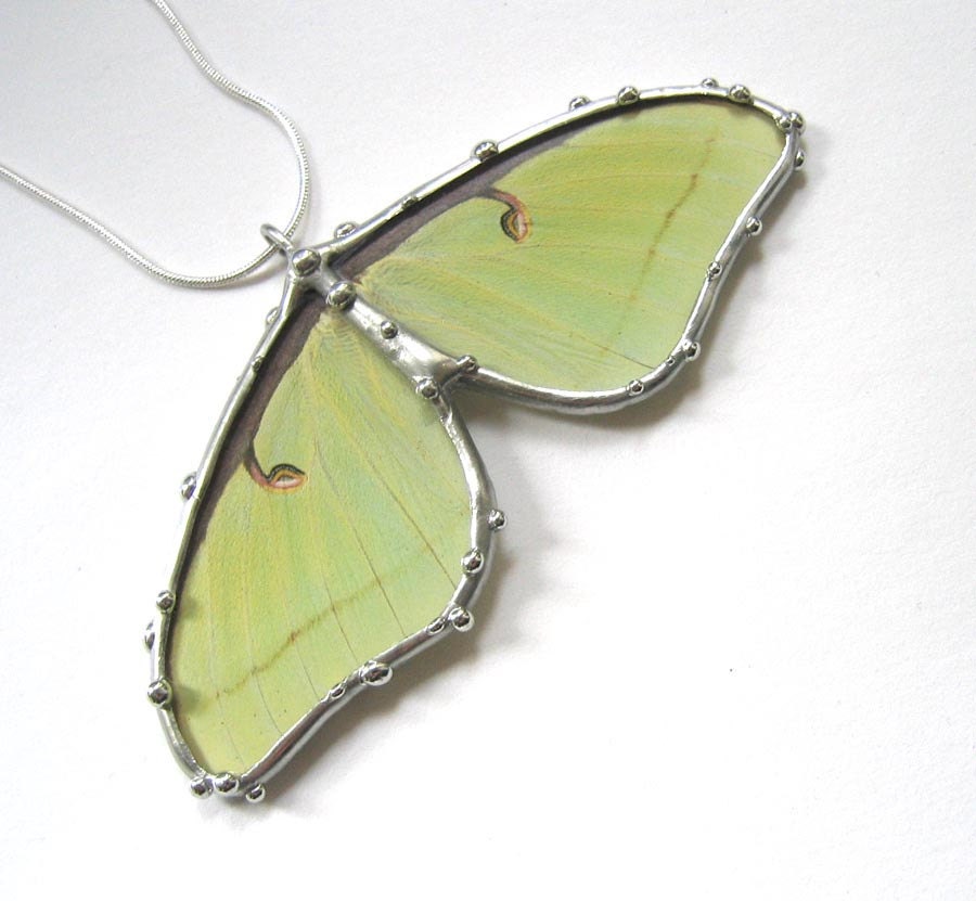 Real Luna Moth Necklace - Statement Necklace