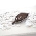 Fabric Leaf Button Brooch - Autumn Stripes and Circles
