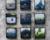 The Whole Series TTV Toys Series One - 5x5 Inch photo block, art block, wall decor, toy photography, robot, godzilla, gnome, dwarf, panda