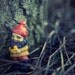 This Tree... Makes me happy... - Dwarf Elf Gnome Toy Photography 8x10 trees fall forest cute decor print wall art by aptrick