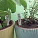 Herb Garden Plant Markers - Mini - Nickel