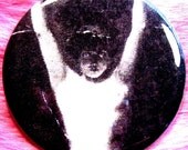 Pocket Mirror - Vampire - Dracula - Gothic - Brides of Dracula - Victoriana