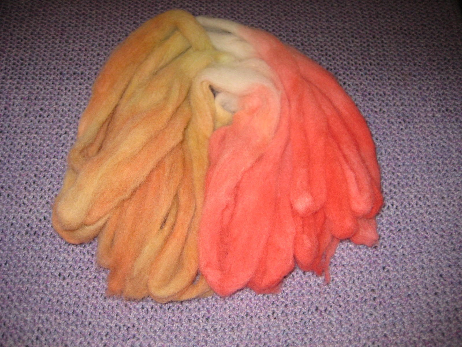 Wool roving for spinning