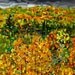 budanArt  13 x 19 Large Print - Towards Autumn