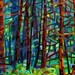 Abstract Fine Art Print - In a Pine Forest 13x19