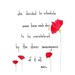 sheer amazingness 8x10 print