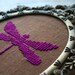 Taxidermy Dragonfly Wall Wear - 2