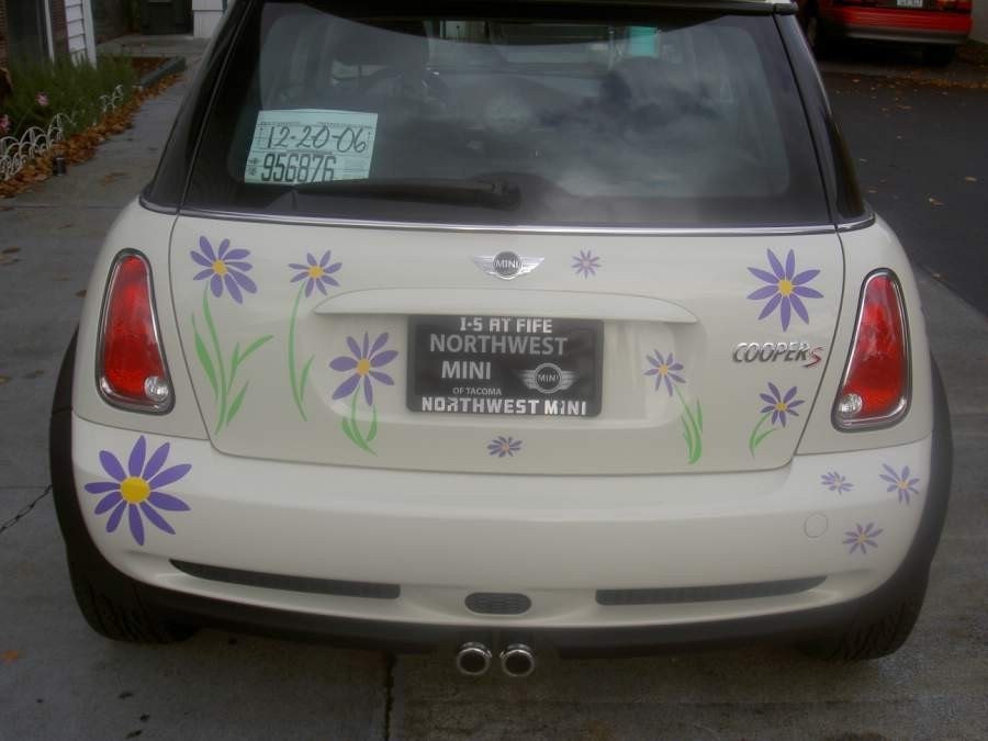 daisy flower decal stickers to fit Mini Cooper