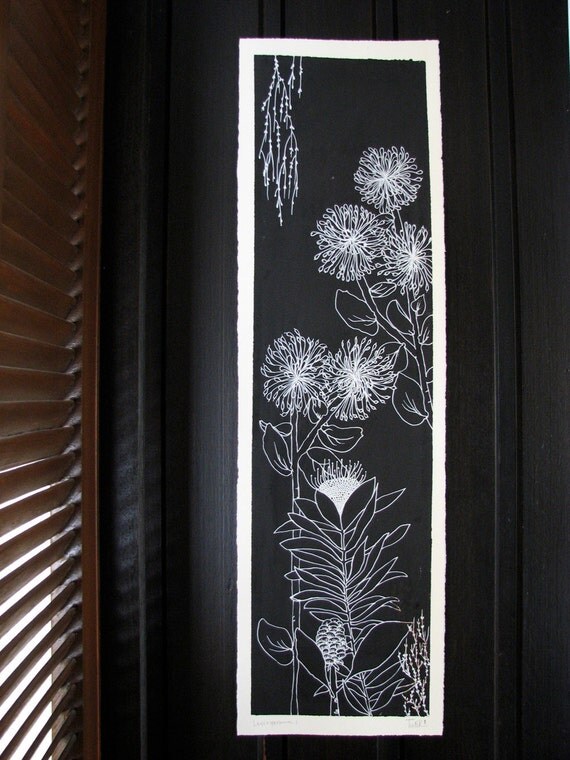leucospermum 1