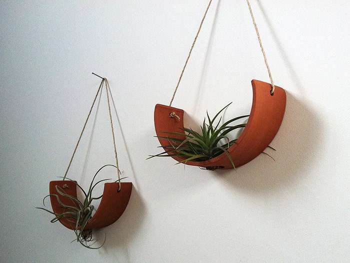 NEW Hanging Air Plant Cradle (tm) - Natural TerraCotta