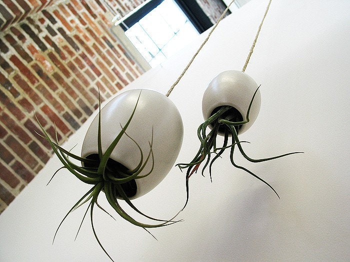 LARGE Hanging Air Plant Pod (tm) - Silky Matte White