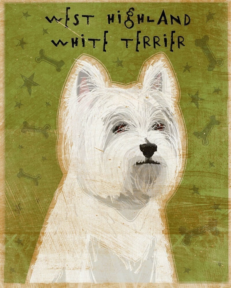 West Highland White Terrier Print 8 in x 10 in - johnwgolden