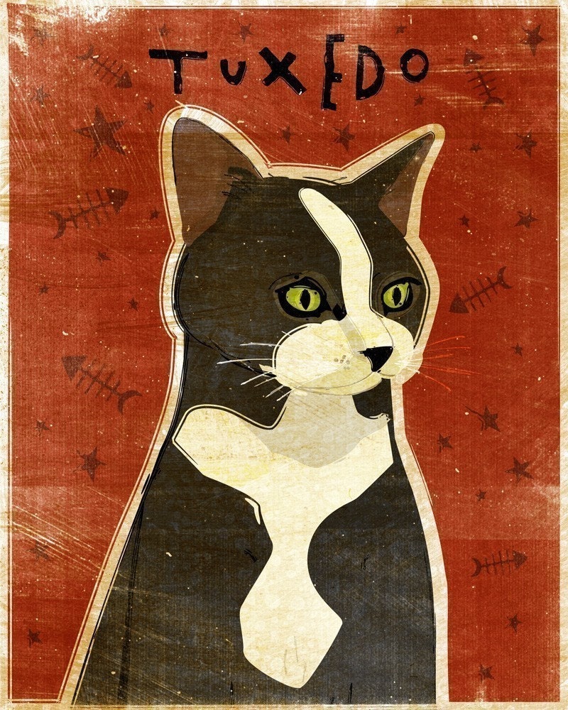 Tuxedo Cat Print 8 x 10