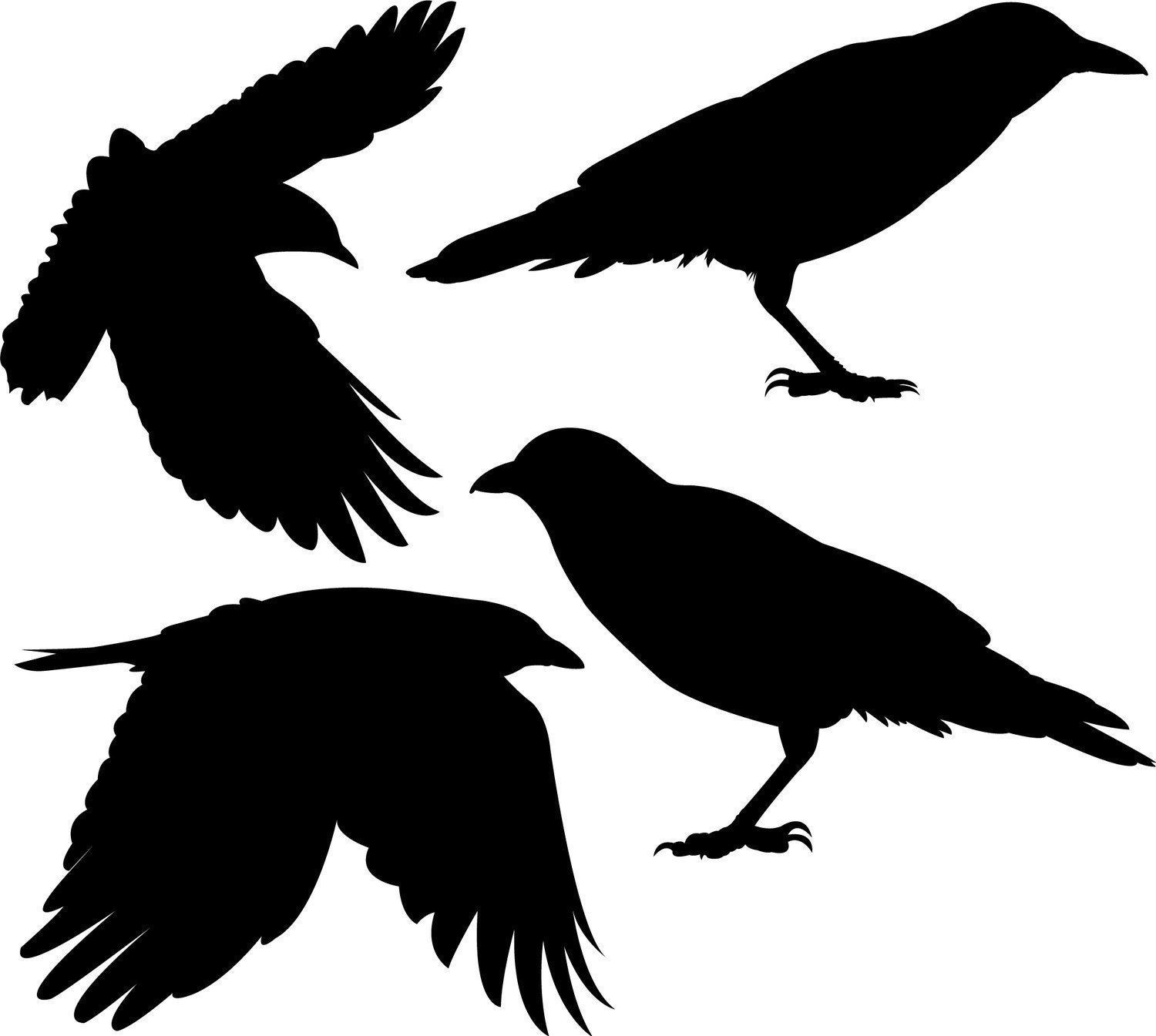 Flock of Four Crows Vinyl Wall Decals