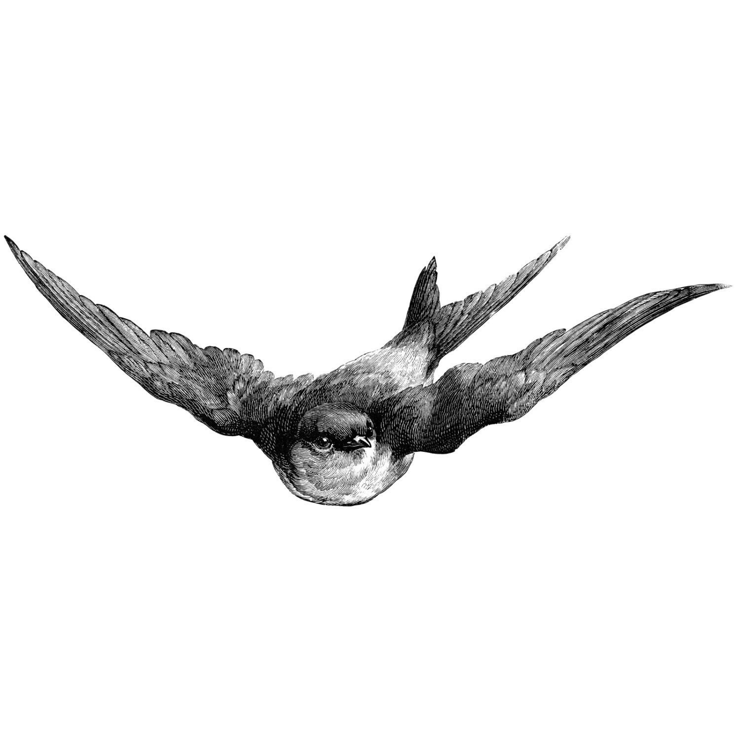 Barn Swallow Vinyl Wall Decal Wood Etched Style