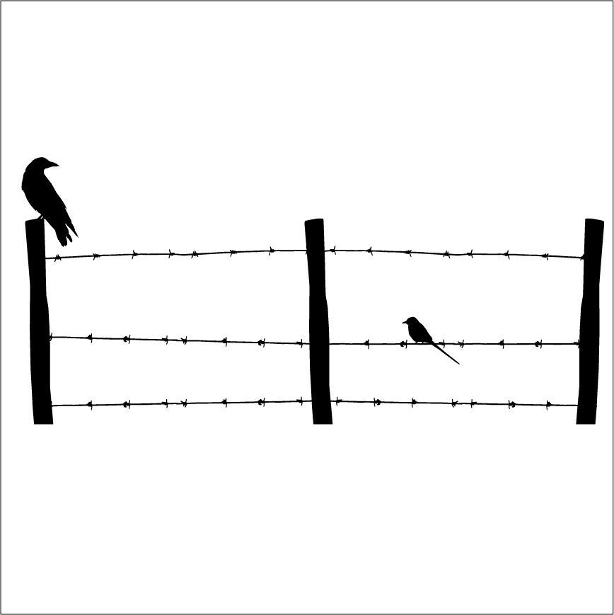 Barbed Wire Fence Drawing Barbed Wire Fence Drawing