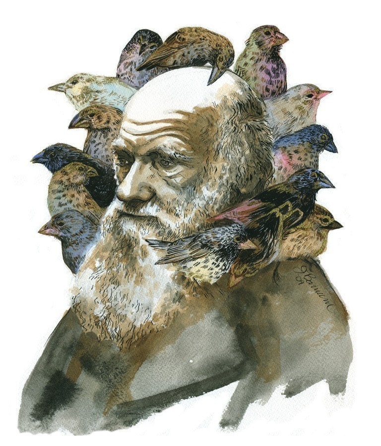 Charles Darwin with finches portrait print- small