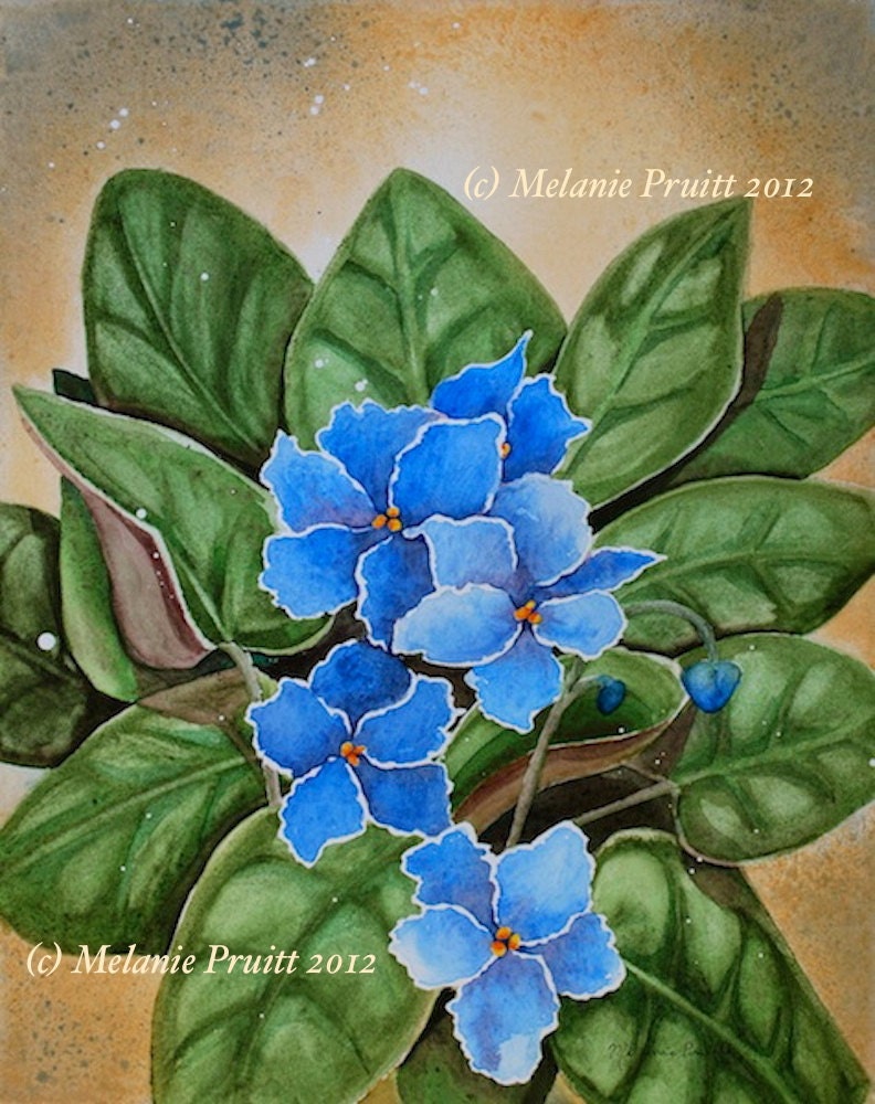 SALE Blue Violets ORIGINAL 11x14 flower floral watercolor painting by M. Pruitt EBSQ