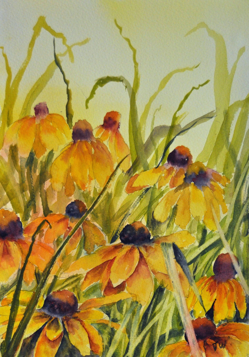 Rudbekia - print