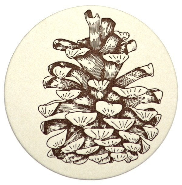 Pine Cone Coasters (Letterpress printed)