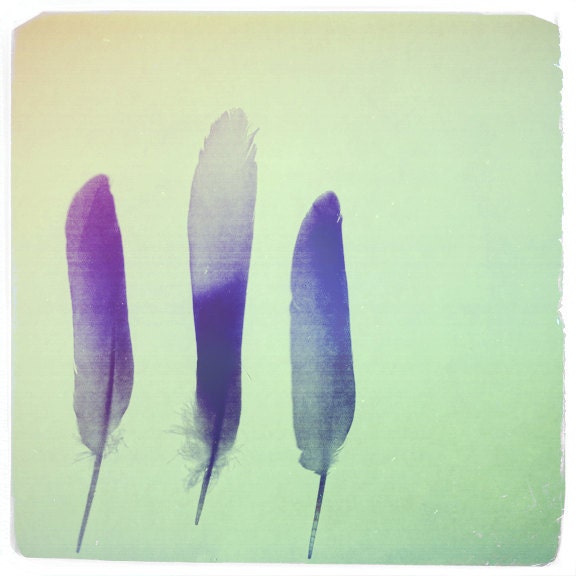 Painted Feathers --  8x10 print (green)