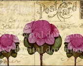 WHiMSiCaL BoTaNiCaL TRiO ViNTaGe 5x7 DeSiGN You Print Digital Collage Sheet download altered clip art handmade greeting card custom party invitations paper supplies antique shabby chic cottage pink flower vegetable postcard ephemera graphics