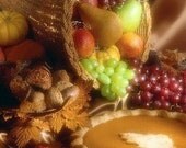 Fall Festival Fragrance Oil  2 oz for candle and soap making