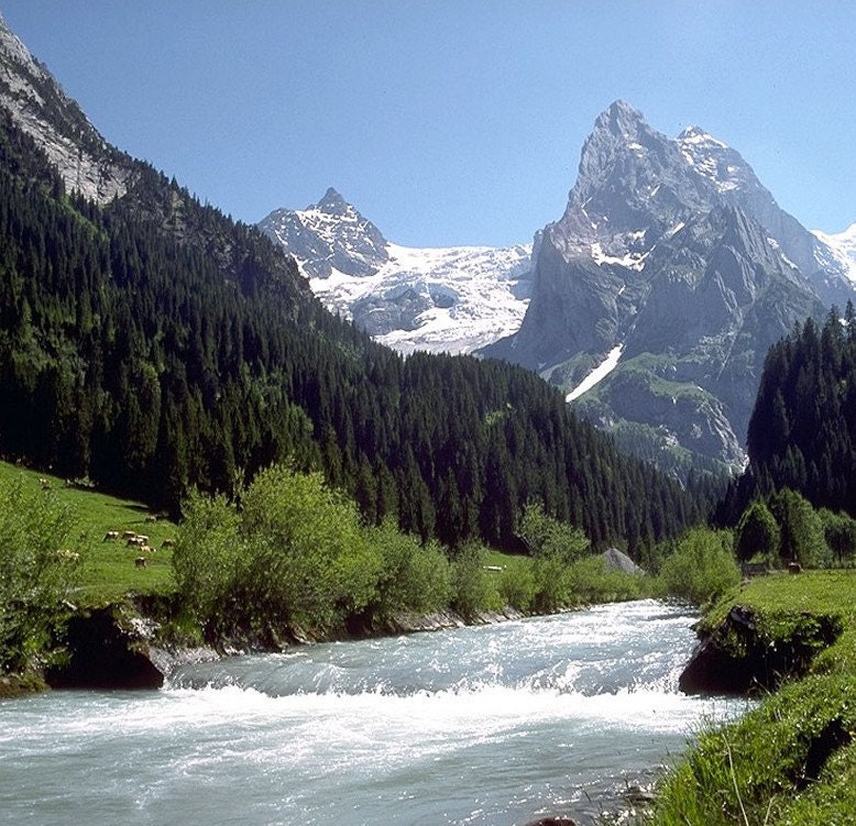 Mountain Fresh  Fragrance Oil 2 oz for candle and soap making