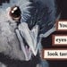 Eyes - bird RECTANGLE MAGNET